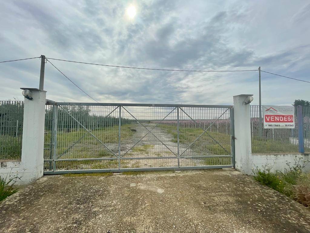 Terreno a Barletta - Foto 4