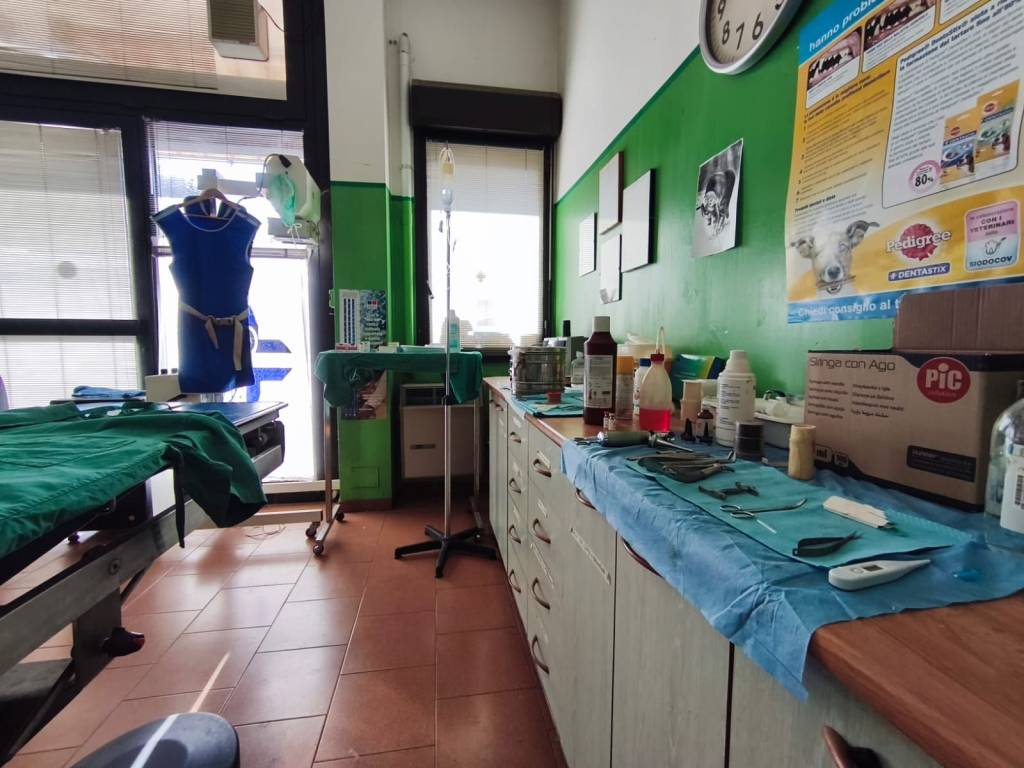 Immobile a Monterenzio in Via Idice, 160 - Foto 3