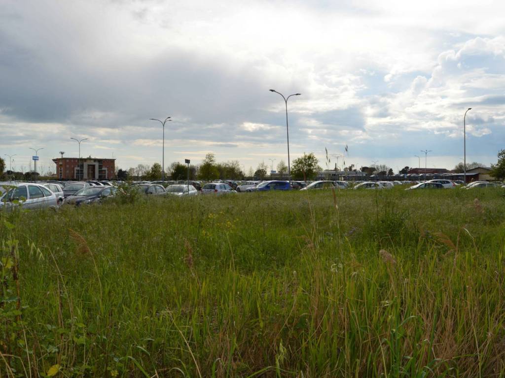 Terreno a Latina in via cupido - Foto 5