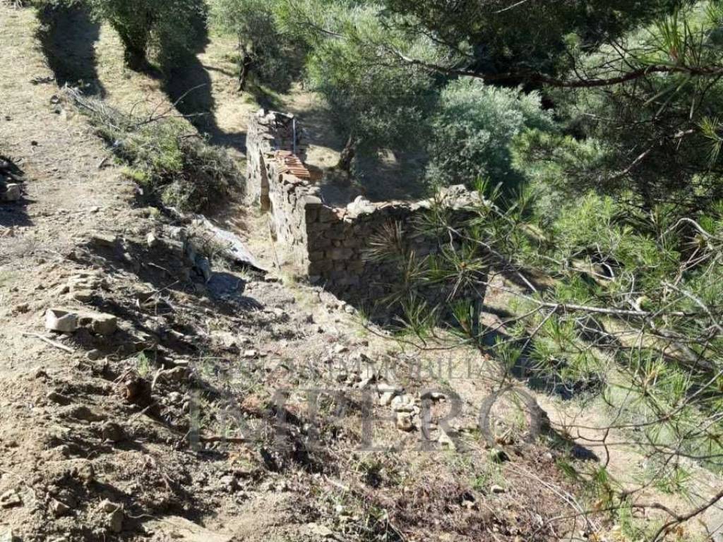 Terreno a Ventimiglia in Frazione Verrandi, 1 - Foto 2