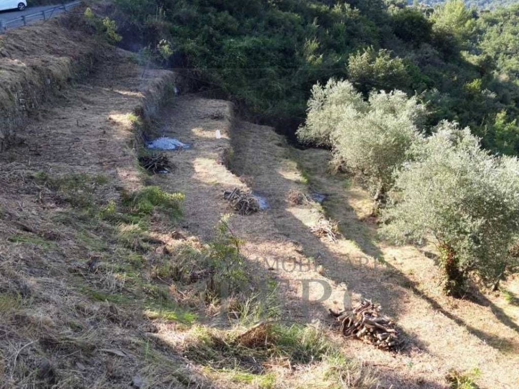 Terreno a Ventimiglia in Frazione Verrandi, 1 - Foto 3