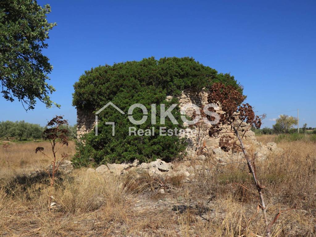 Terreno a Noto in C.da Agliastro - Foto 4