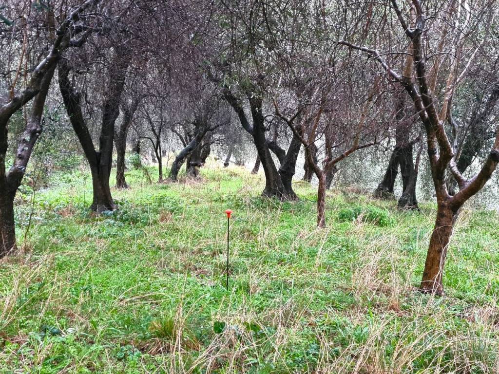 Terreno a Giustenice in Via Costa Inferiore - Foto 2