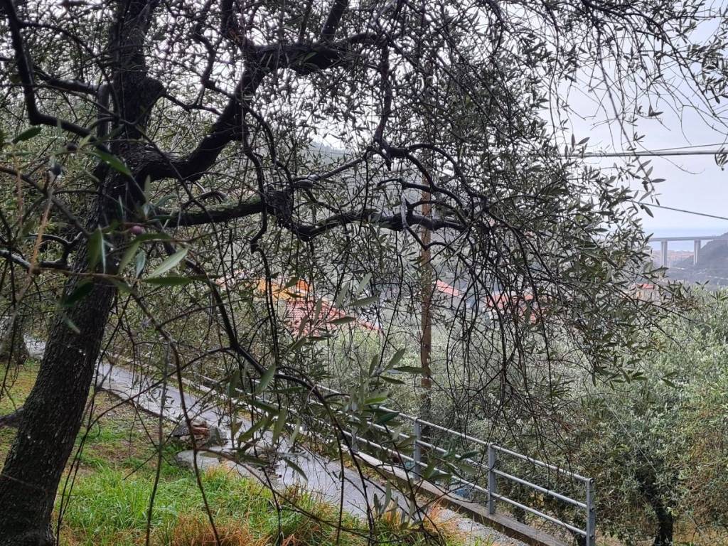 Terreno a Giustenice in Via Costa Inferiore - Foto 4