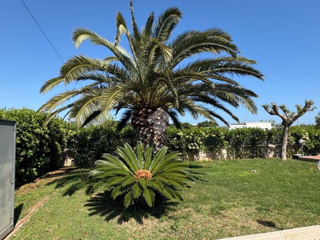 Terreno a Polignano a mare in Via S. Vito, 1 - Foto 4