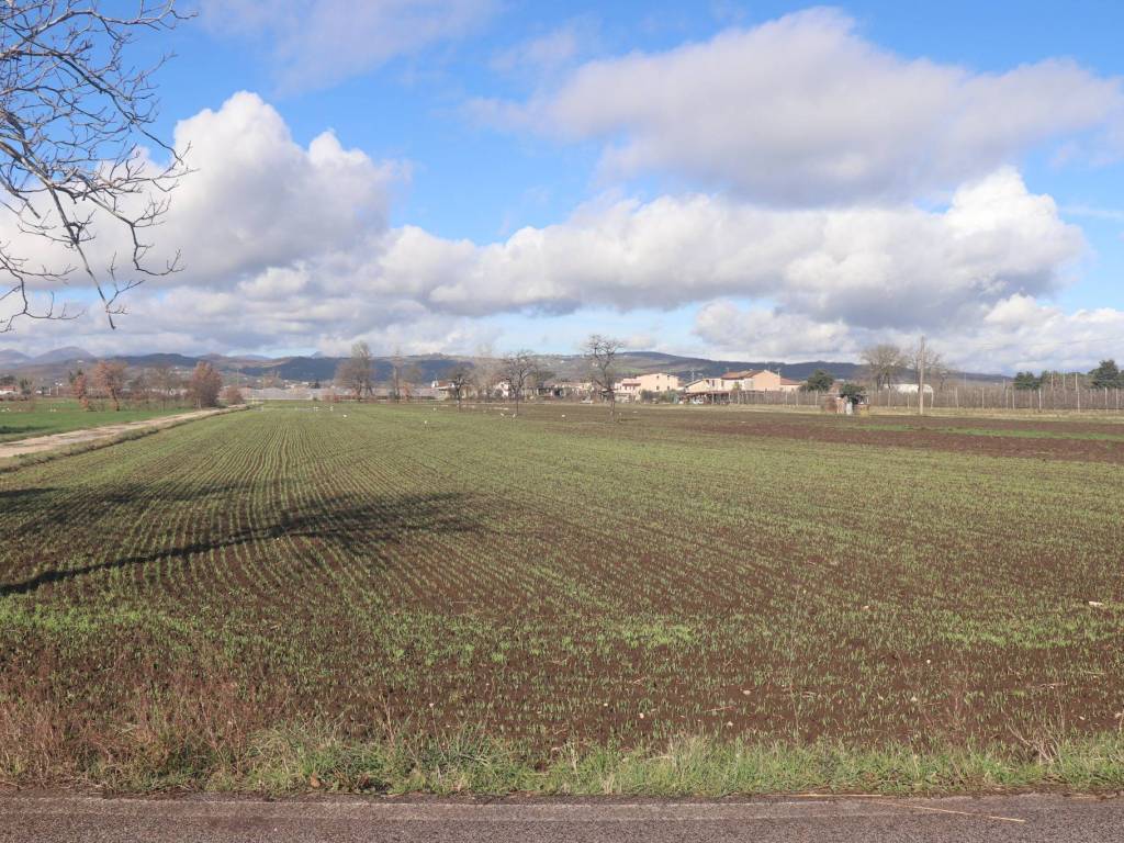 Terreno a Dugenta - Foto 2