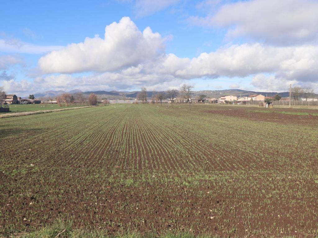 Terreno a Dugenta - Foto 3