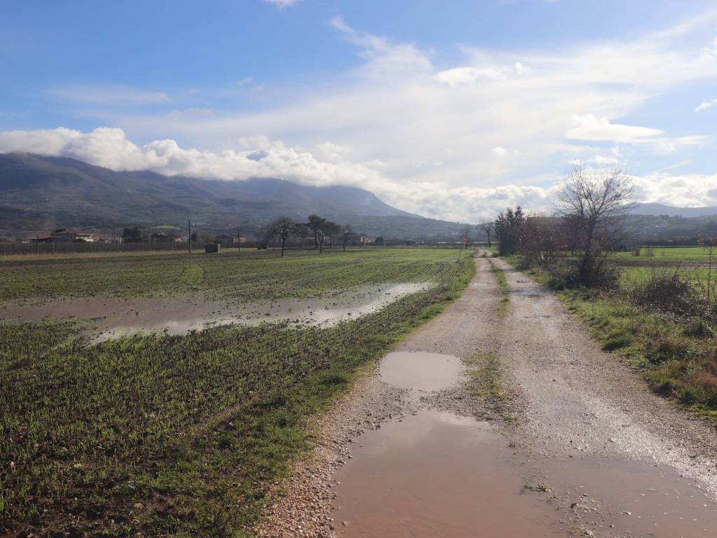 Terreno a Dugenta - Foto 4