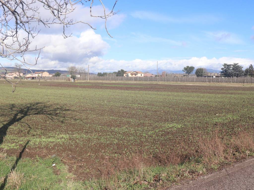 Terreno a Dugenta - Foto 5