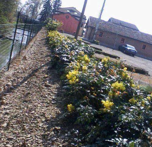 Immobile a Spilamberto - Foto 5