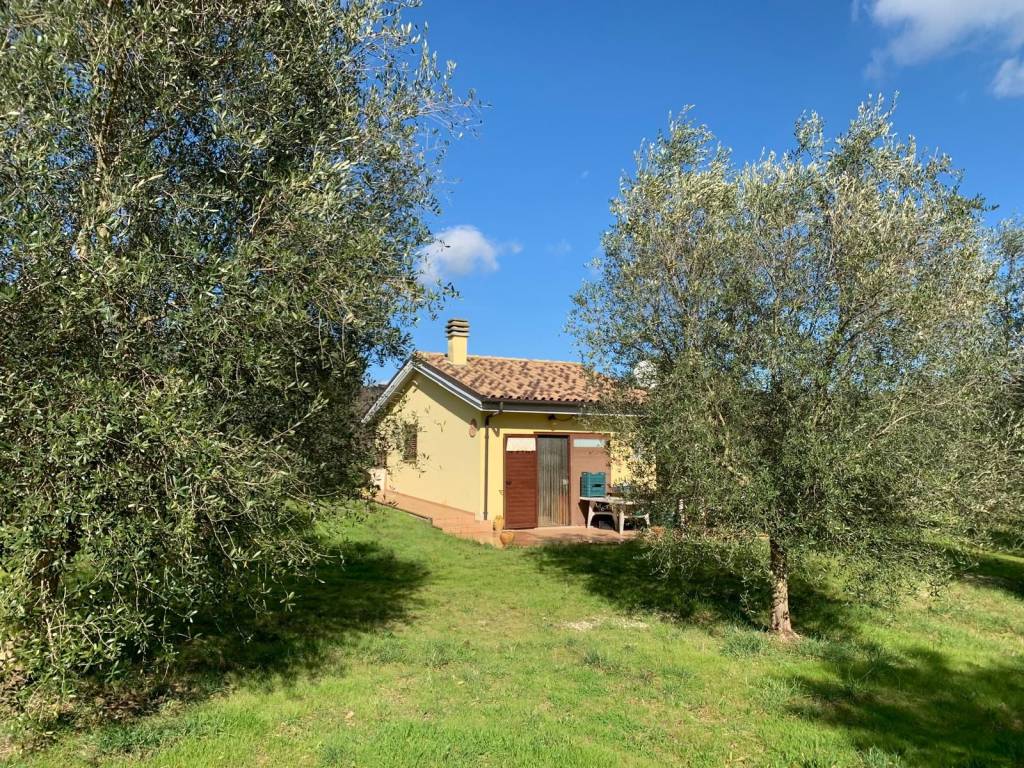Rustico / casale a Montecosaro in Località Crocette - Foto 2