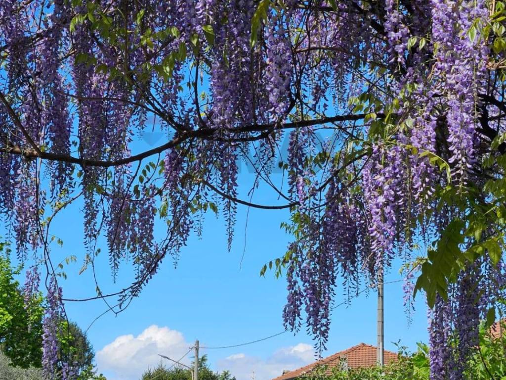 Villa a Biandronno in VIA GRAMSCI, 1 - Foto 2