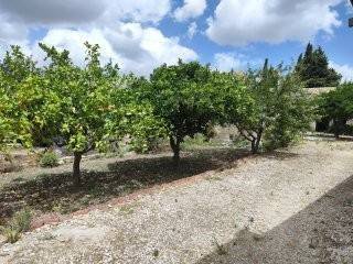 Terreno a Trapani in VIA CAPITANO RIZZO, 98 - Foto 4