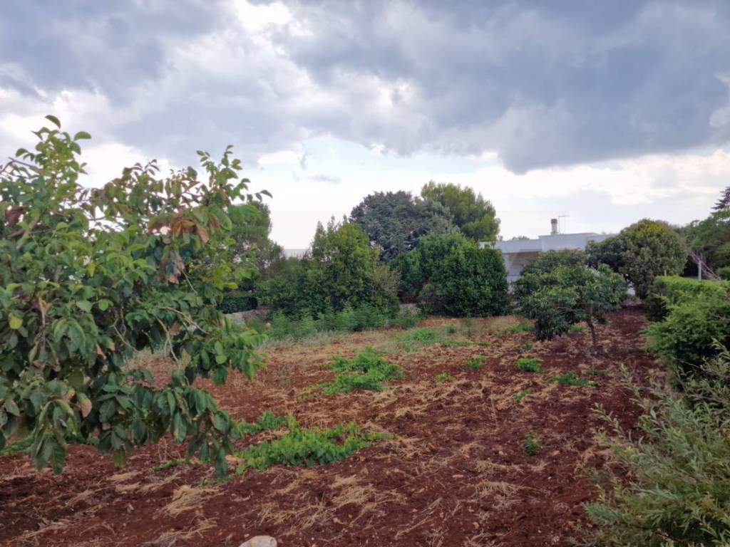 Villa a Ostuni in Strada Provinciale 22 - Foto 2