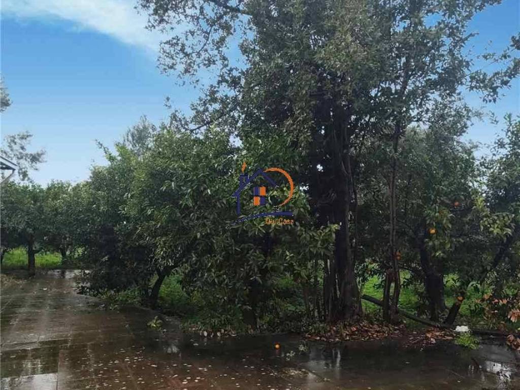Terreno a Corigliano-rossano in Contrada Vallato - Foto 3