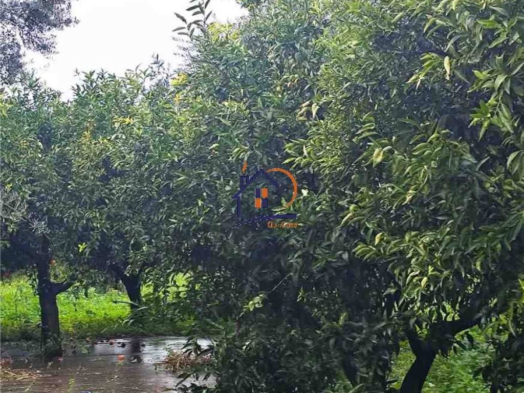 Terreno a Corigliano-rossano in Contrada Vallato - Foto 4