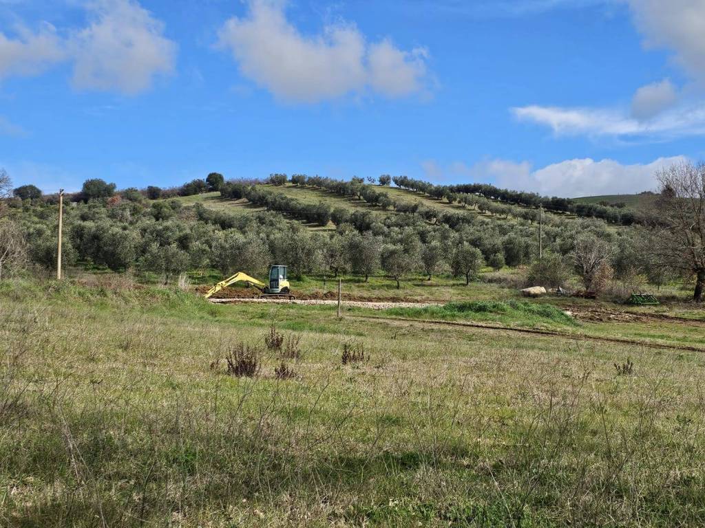 Terreno a Grosseto in Strada dell'Osservatorio Astronomico - Foto 2