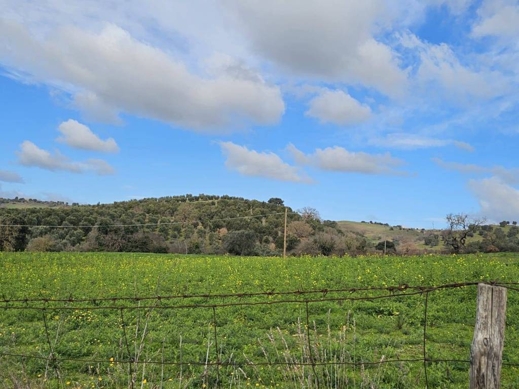Terreno a Grosseto in Strada dell'Osservatorio Astronomico - Foto 5