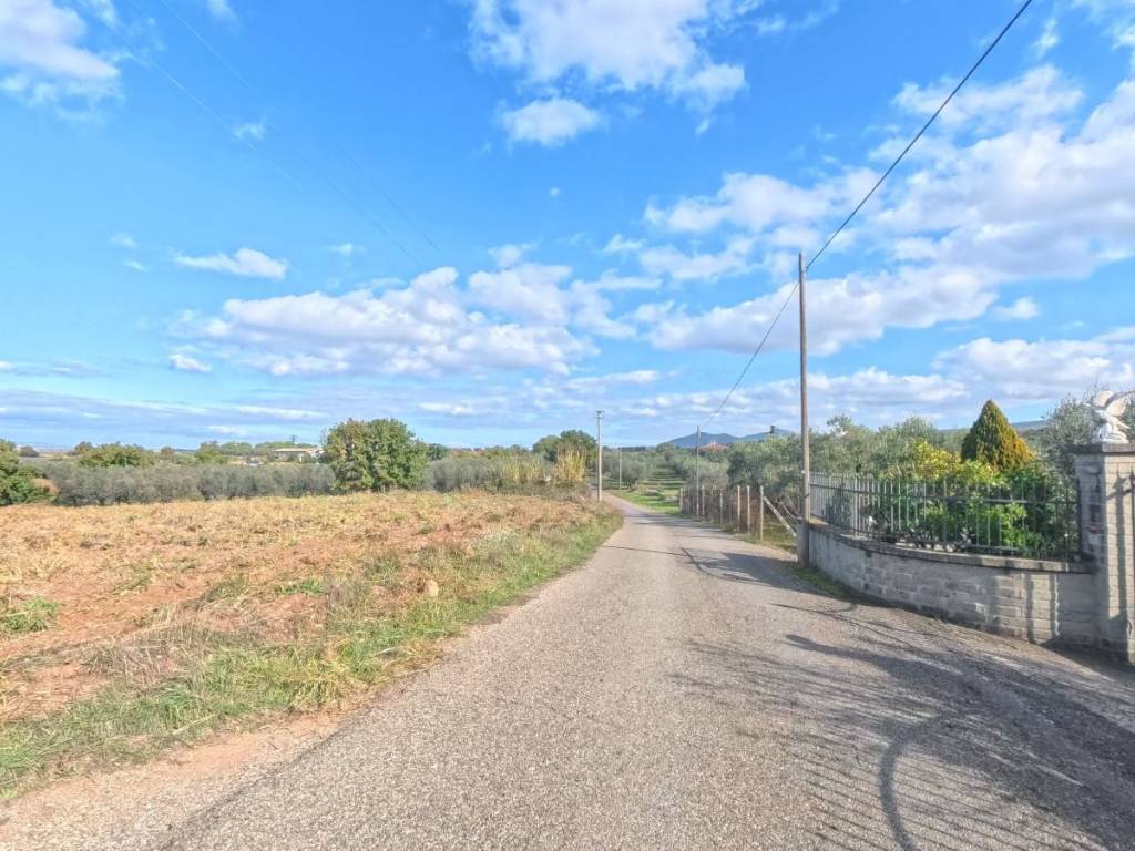 Terreno a Viterbo in Strada Primomo Sterparelle, 8 - Foto 2