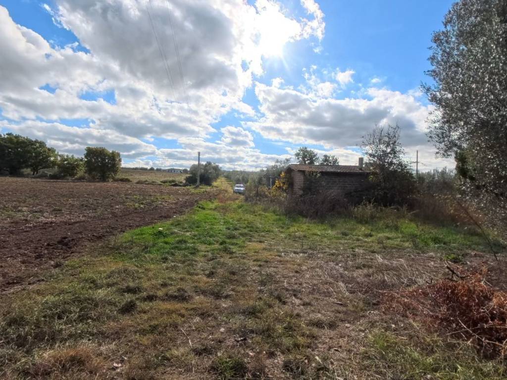 Terreno a Viterbo in Strada Primomo Sterparelle, 8 - Foto 3
