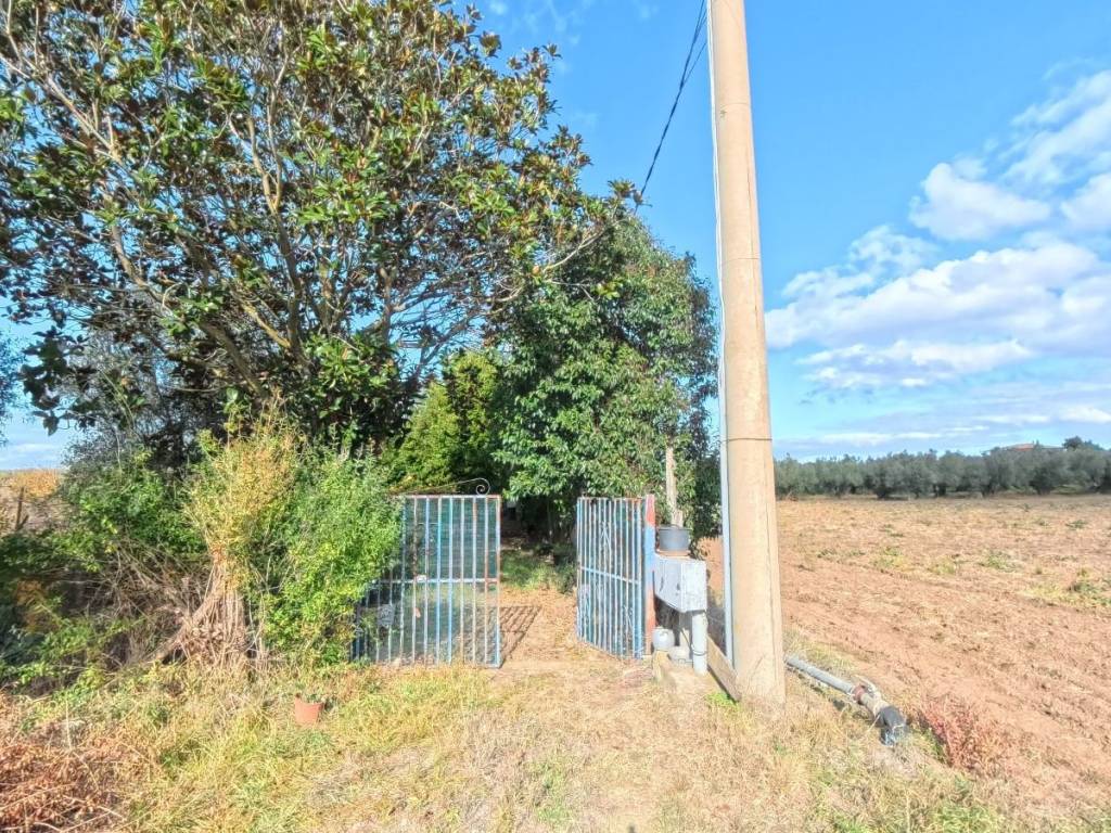 Terreno a Viterbo in Strada Primomo Sterparelle, 8 - Foto 5