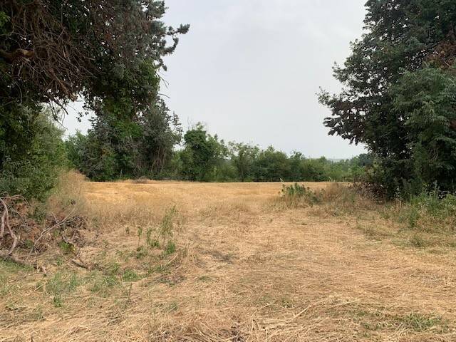 Terreno a Misano adriatico in Via Ponte Conca - Foto 3