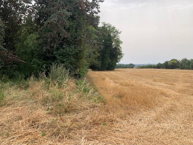 Terreno a Misano adriatico in Via Ponte Conca - Foto 4