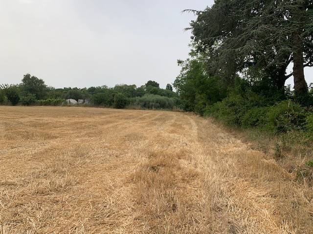 Terreno a Misano adriatico in Via Ponte Conca - Foto 5