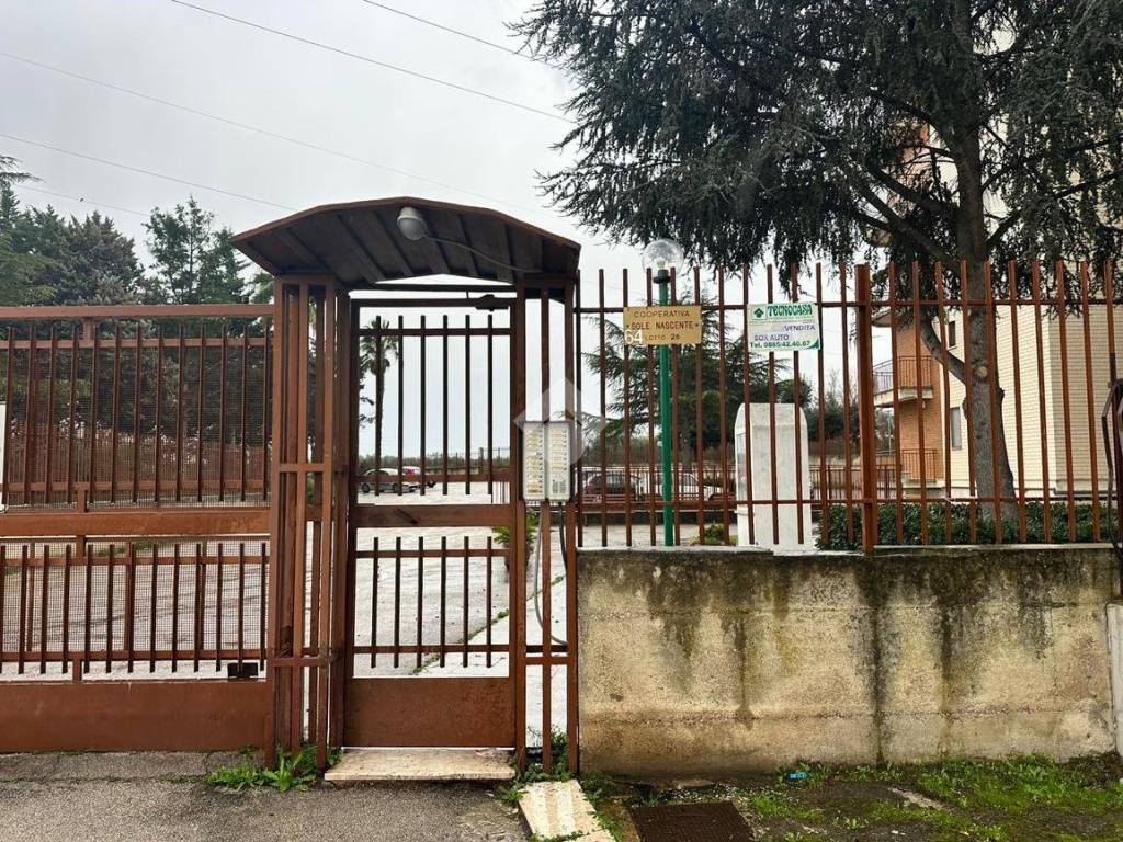 Immobile a Cerignola in VIA DEI TIGLI, 64 - Foto 2