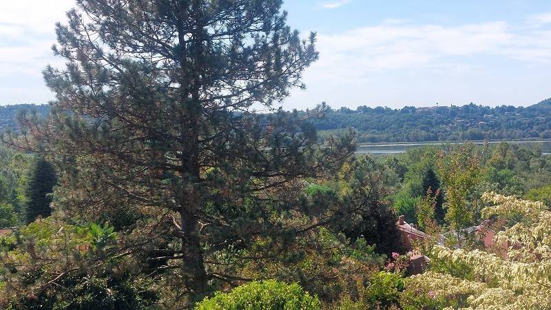 Villa a Varese - Foto 4