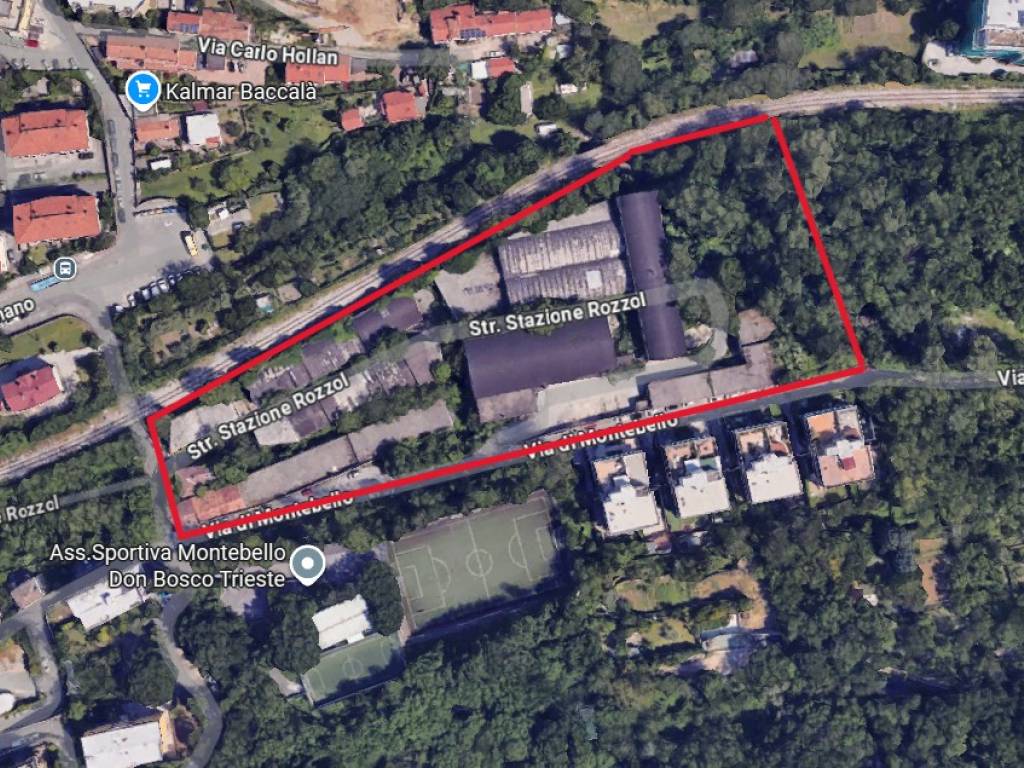 immagine di copertina