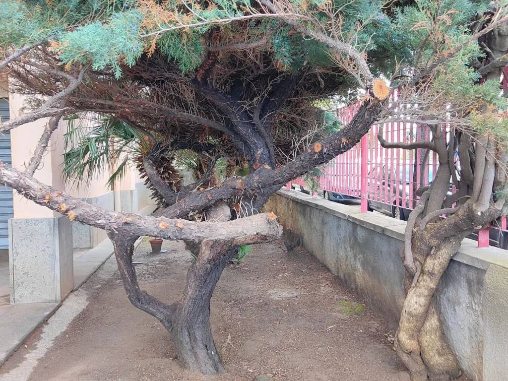 Appartamento a Sassari in Via Aldo Cesaraccio, 14 - Foto 5