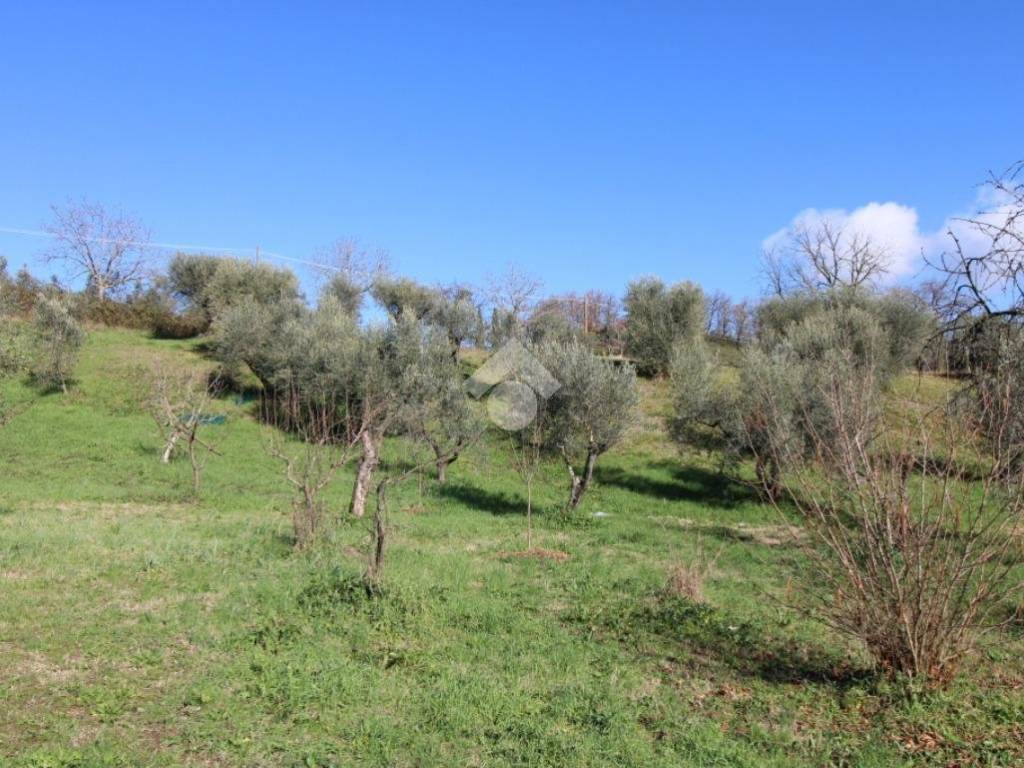 Terreno a Montopoli di sabina in VIA ROVANE - Foto 2
