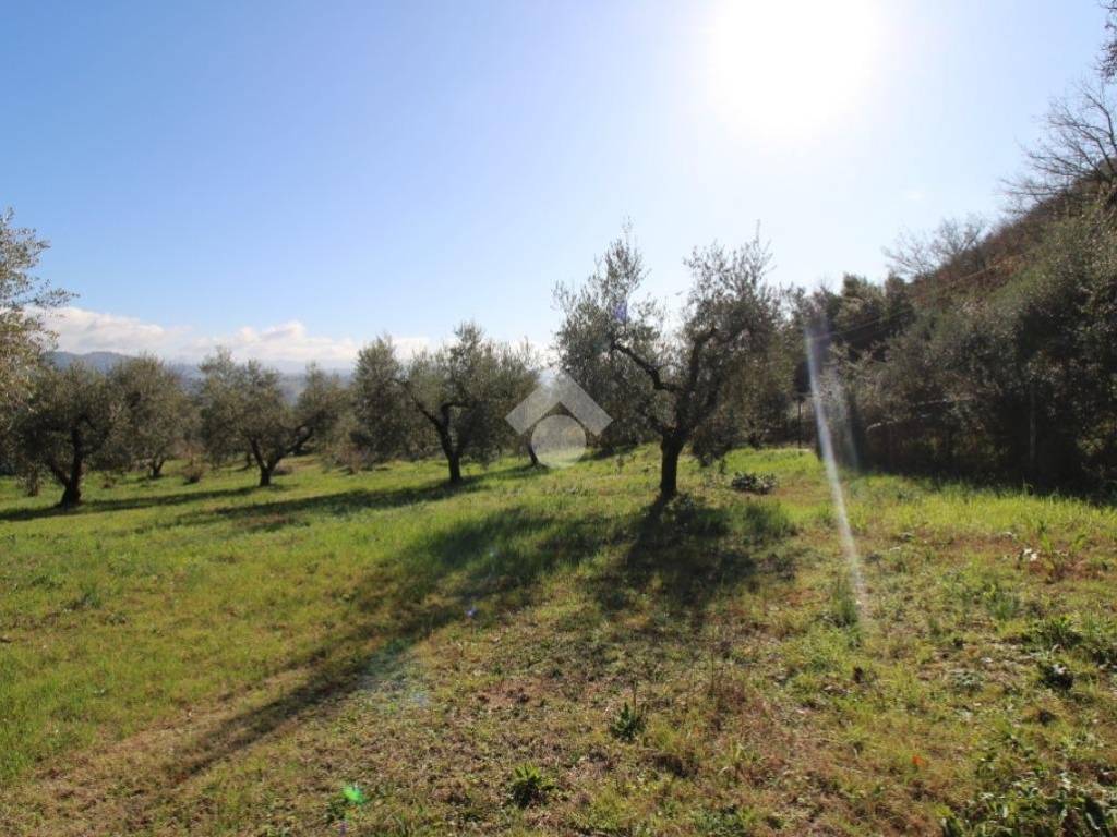 Terreno a Montopoli di sabina in VIA ROVANE - Foto 3