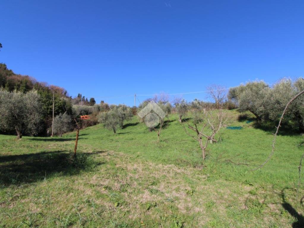 Terreno a Montopoli di sabina in VIA ROVANE - Foto 4