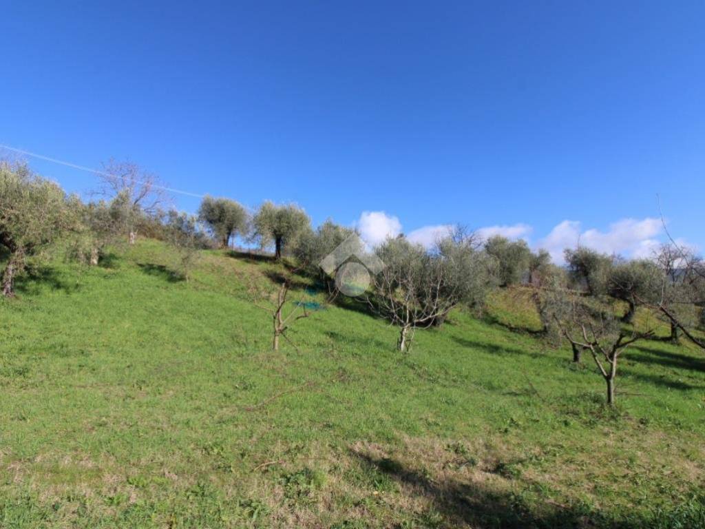 Terreno a Montopoli di sabina in VIA ROVANE - Foto 5