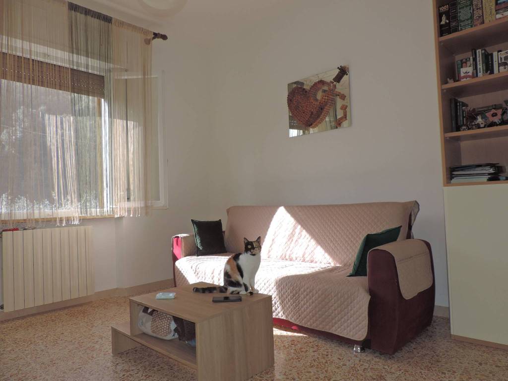 Appartamento a Bibbona in Via della Camminata Ovest, 35 - Foto 3