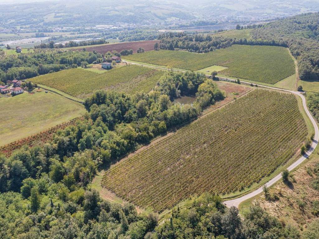 Rustico / casale a Vigolzone - Foto 5