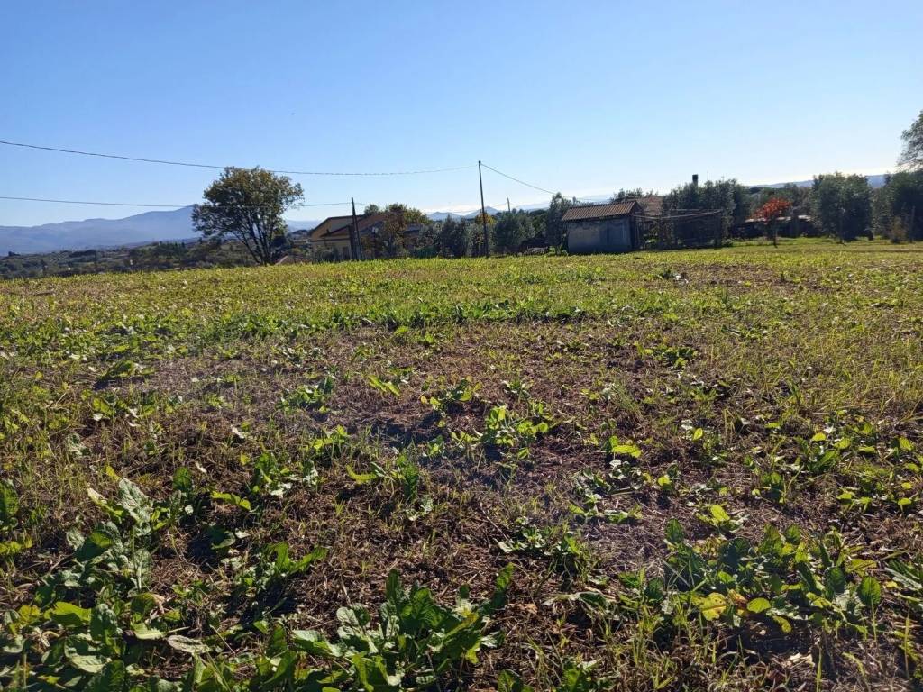 Terreno a Montopoli di sabina - Foto 3
