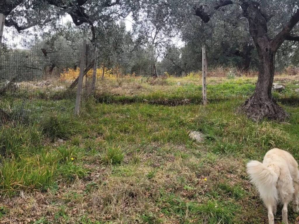 Villa a Nerola in Via Salaria - Foto 5