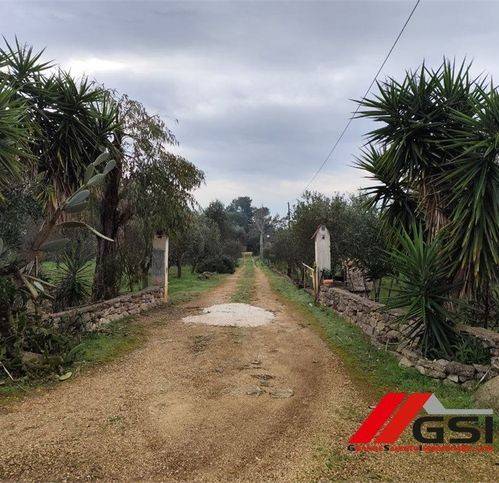 Rustico / casale a San michele salentino in Contrada Ajeni - Foto 2