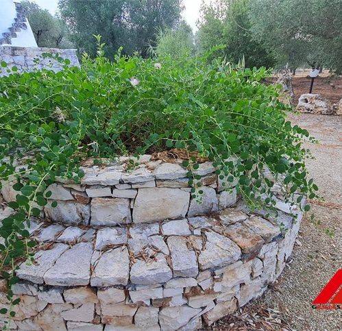 Rustico / casale a Francavilla fontana in Contrada Regina - Foto 4