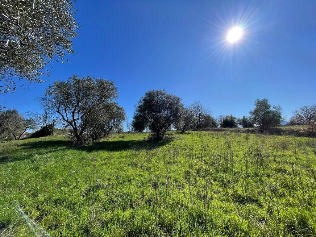 Terreno a Viterbo in Grotte Santo Stefano - Foto 3