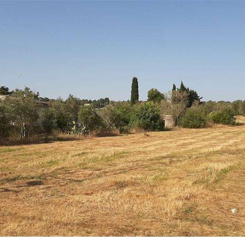 Terreno a Specchia - Foto 3