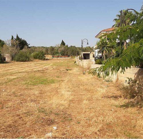 Terreno a Specchia - Foto 4