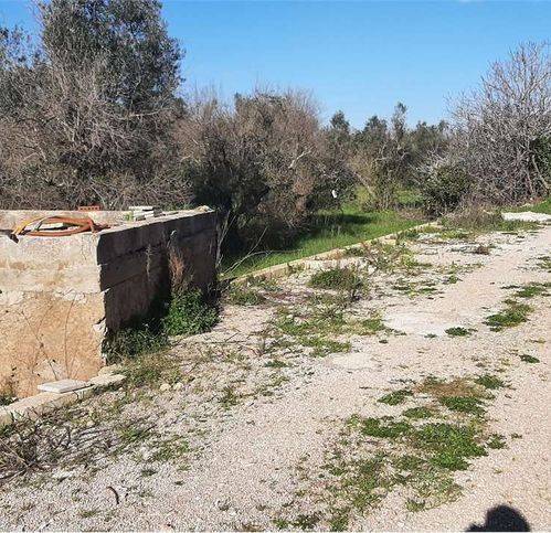 Terreno a Tiggiano - Foto 3