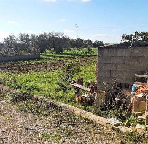 Terreno a Tiggiano - Foto 4