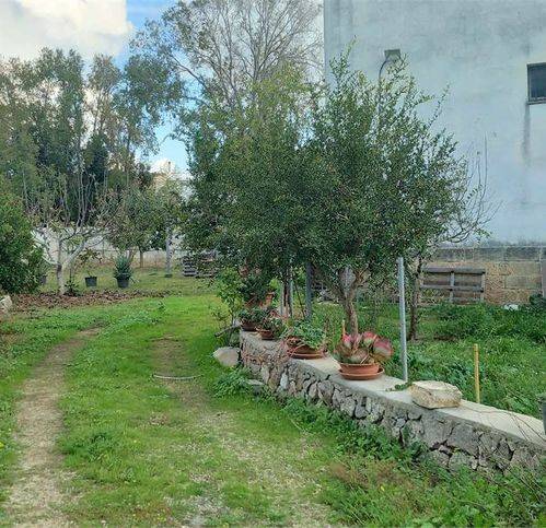 Terreno a Poggiardo - Foto 5