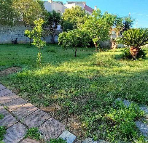 Terreno a Tricase - Foto 2