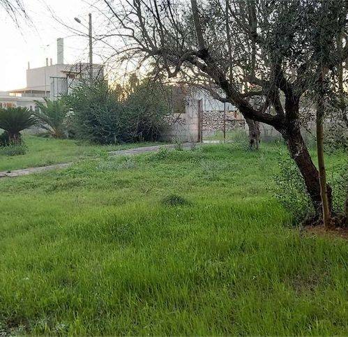 Terreno a Tricase - Foto 5